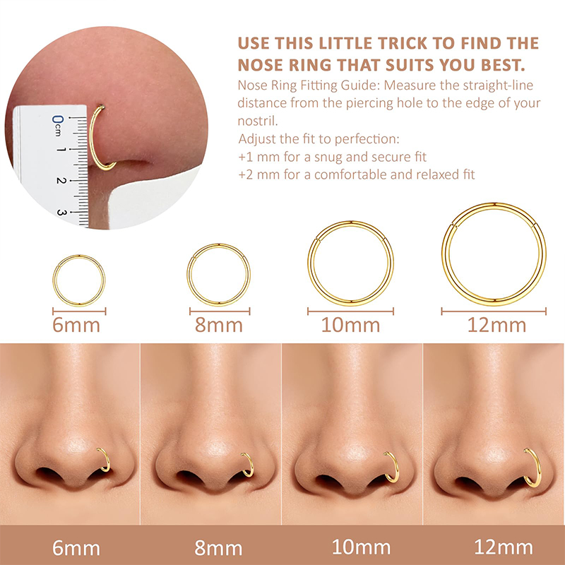 16G 316L Surgical Steel Hinged - Body Jewelry Lip Ring avaliação e preço