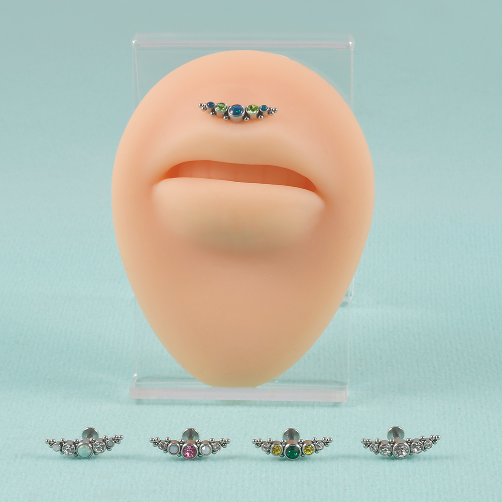1PC 316L Surgical Steel 16G  C - Cluster Stud Ear avaliação e preço