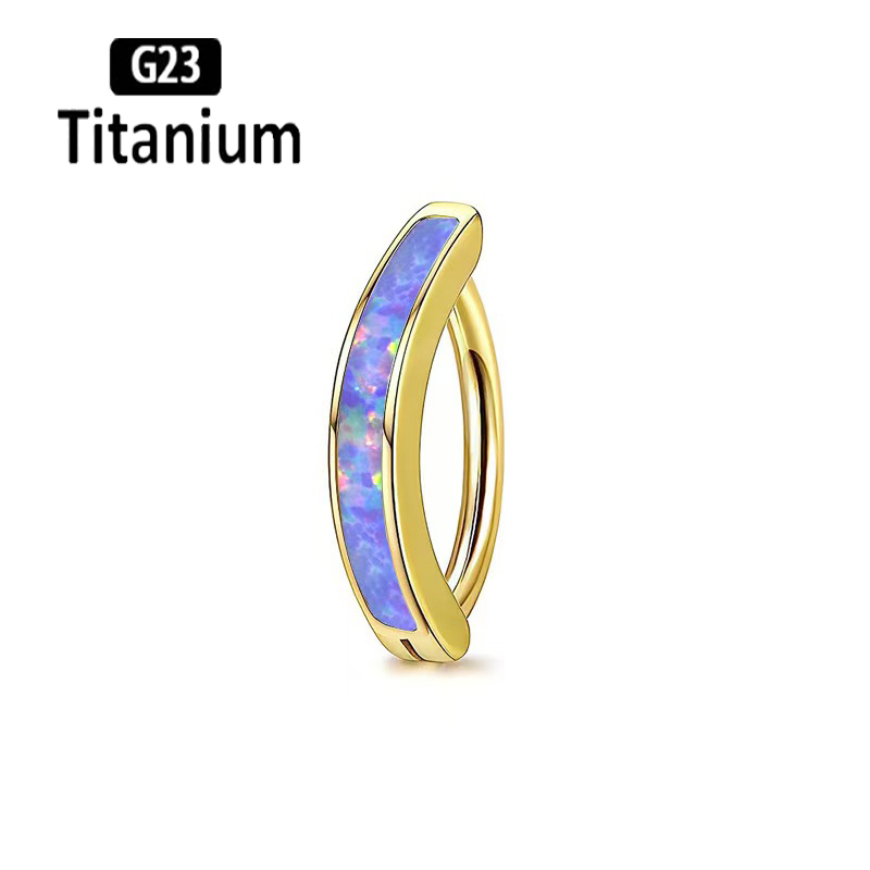 1PC 14G Implant Grade G23 Tita - Body Jewelry Implant Grade avaliação e preço