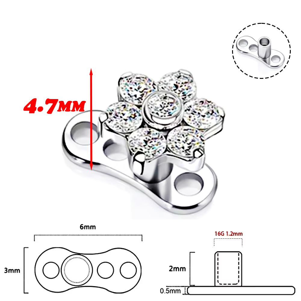 F136 Titanium Alloy High-Quali - Body Jewelry Implant Grade avaliação e preço